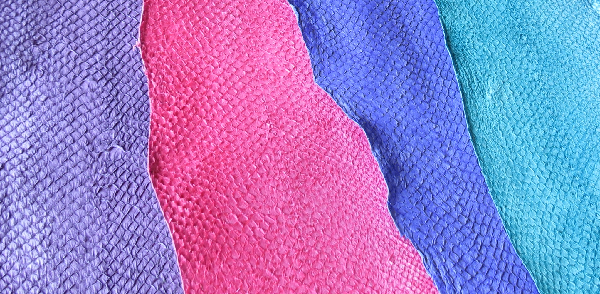 choix de couleur pour les peaux de poisson tannées