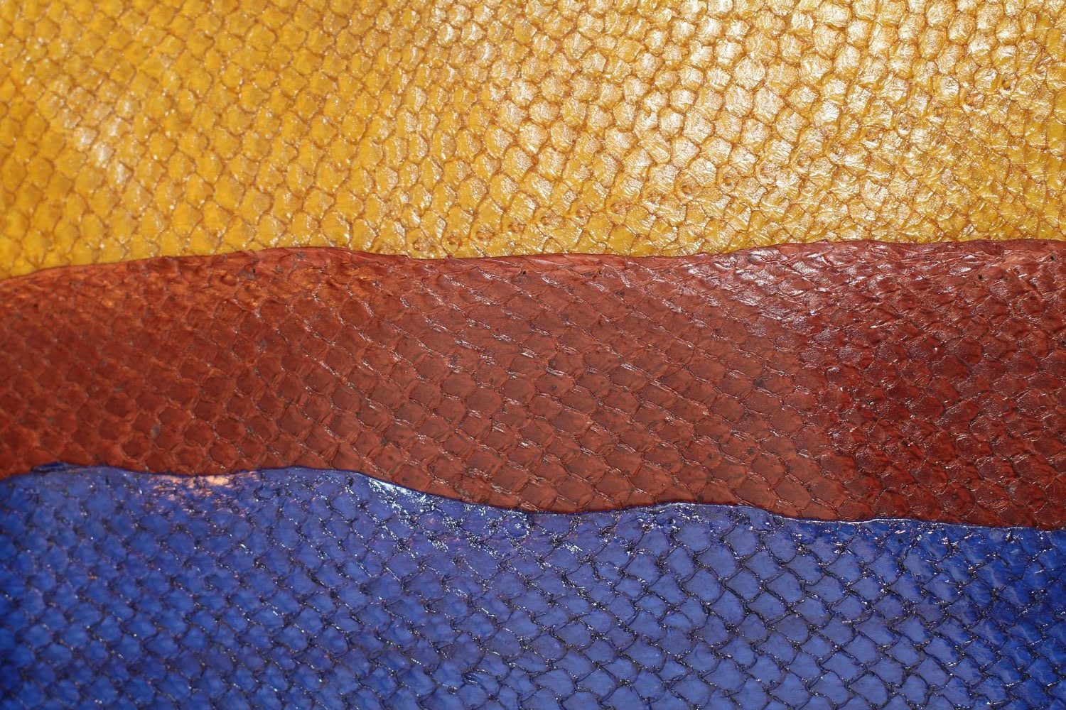 choix de couleur pour les peaux de poisson tannées