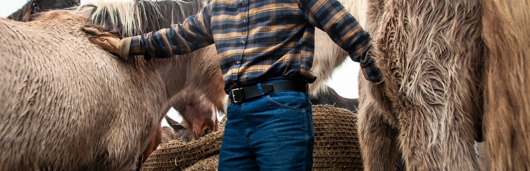sellerie-lhote ceinture outdoor